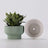 Modern Sage Green Fluted Ceramic Planter | Pedestal Raised Plant Pot Grey