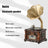 Vintage Gramophone Bluetooth Speaker