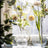 Modern Clear Glass Tapered Flower Vase