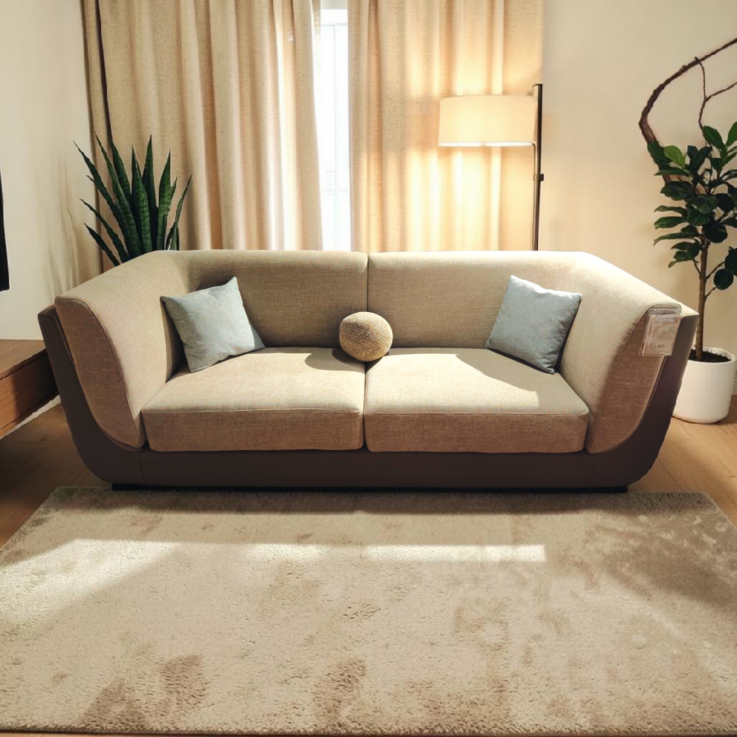 Contemporary Beige Sofa