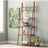 Kellan 25" Pine Bookcase