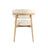 Modern Dining Chair
