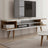 Modern TV Stand