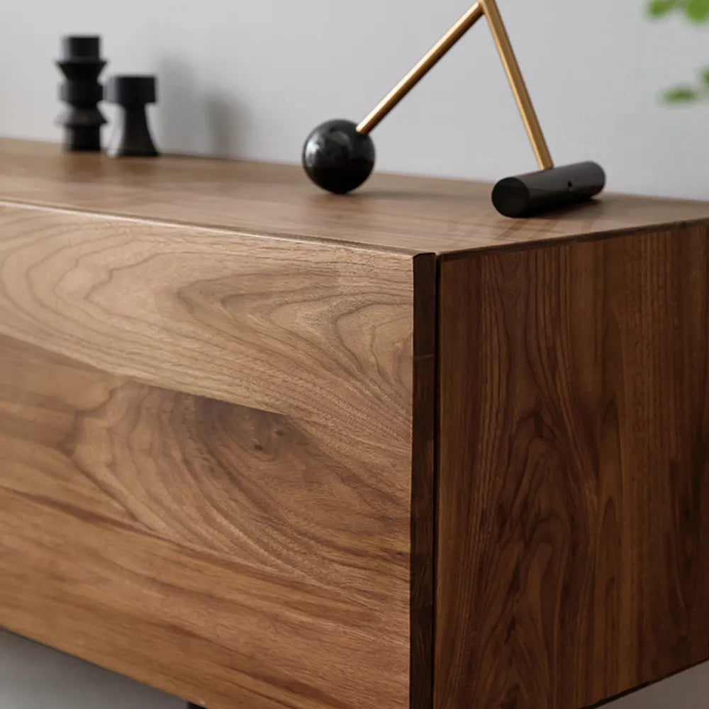 Modern TV Stand
