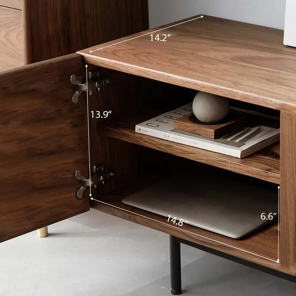 Modern TV Stand