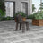 Numan Dining Side Chair (Set of 4)