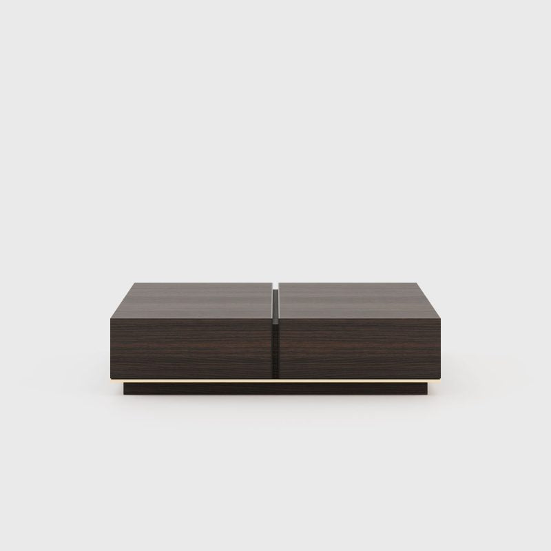 Siya Coffee table with Storage