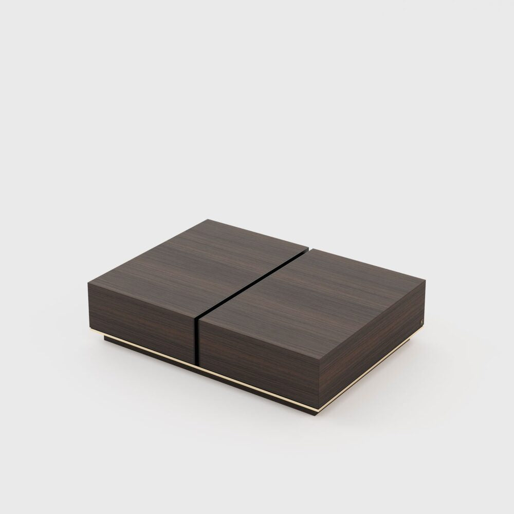Siya Coffee table with Storage