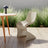 Spectrum Side Chair (Set of 2)