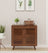 Virello 2-Shelf Shoe Cabinet