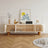 France TV Stand