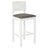 Oxford White Cane Barstool